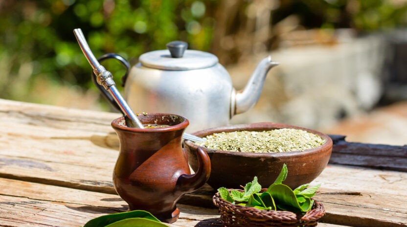 Herb Yerba Mate Traditional Tea Of Latin America